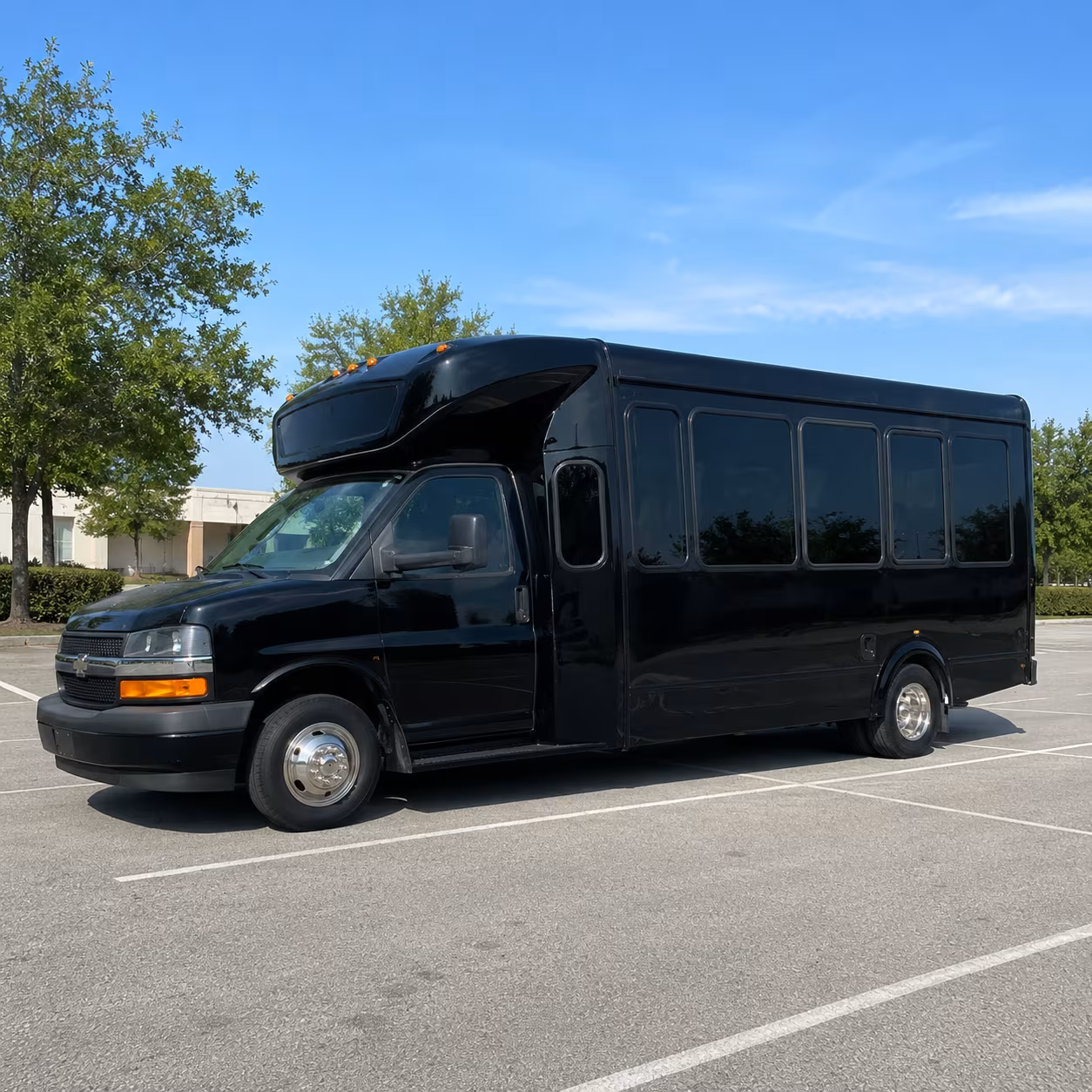 birthday party bus rental
